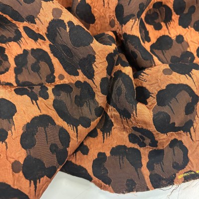 photo_5201925112175725836_y