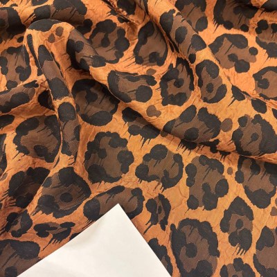 photo_5201925112175725839_y